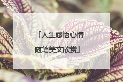 人生感悟心情随笔美文欣赏