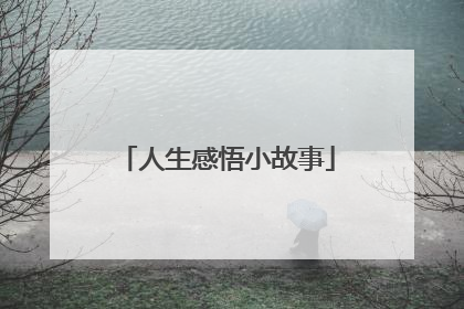 人生感悟小故事