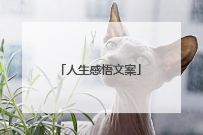 人生感悟文案