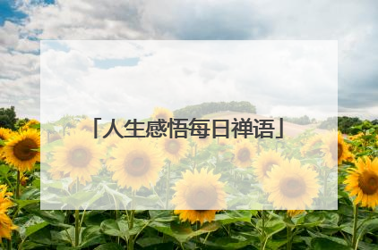 人生感悟每日禅语