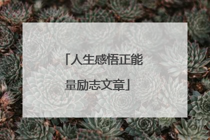 人生感悟正能量励志文章