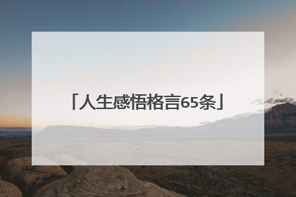 人生感悟格言65条