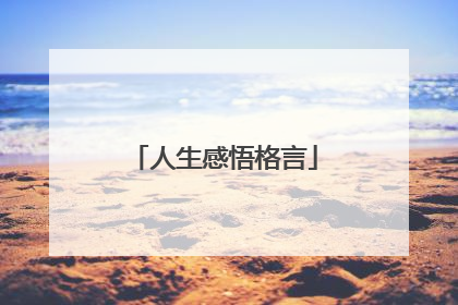 人生感悟格言