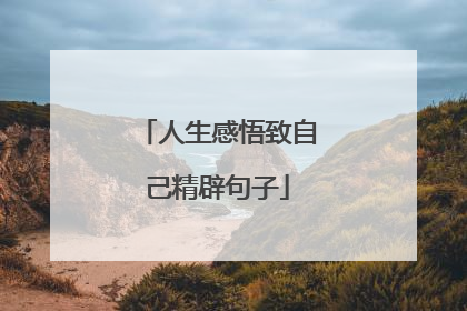 人生感悟致自己精辟句子