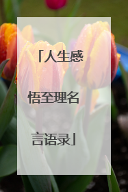 人生感悟至理名言语录