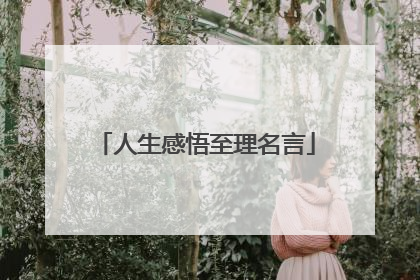 人生感悟至理名言