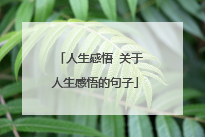 人生感悟 关于人生感悟的句子