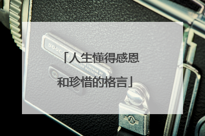 人生懂得感恩和珍惜的格言