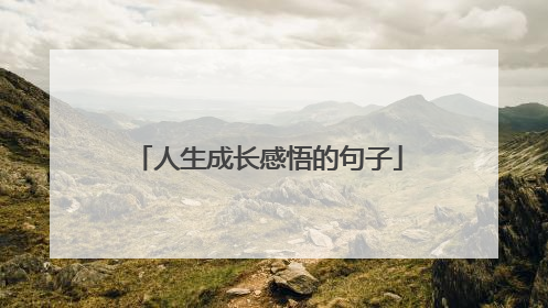 人生成长感悟的句子