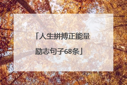 人生拼搏正能量励志句子68条