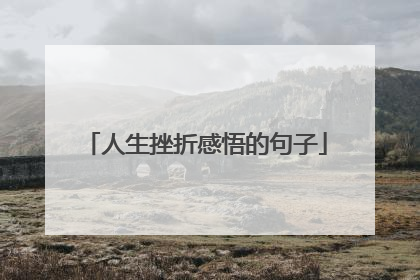 人生挫折感悟的句子