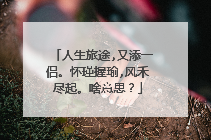 人生旅途,又添一侣。怀瑾握瑜,风禾尽起。啥意思？