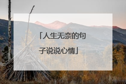 人生无奈的句子说说心情