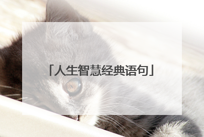人生智慧经典语句
