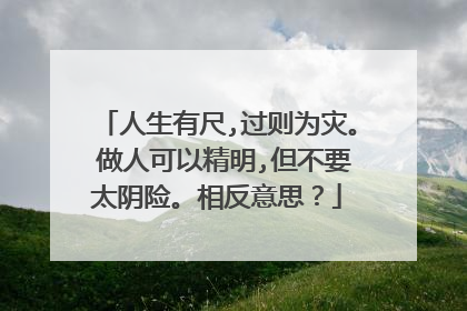 人生有尺,过则为灾。 做人可以精明,但不要太阴险。相反意思?