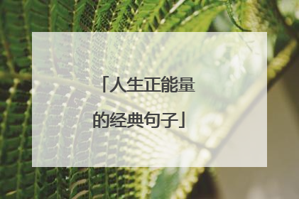 人生正能量的经典句子