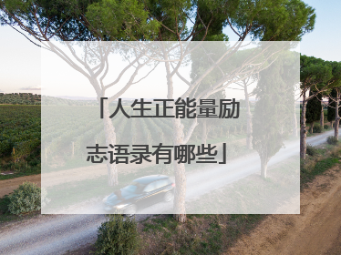 人生正能量励志语录有哪些