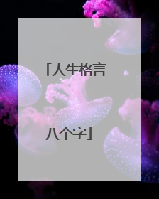 人生格言八个字