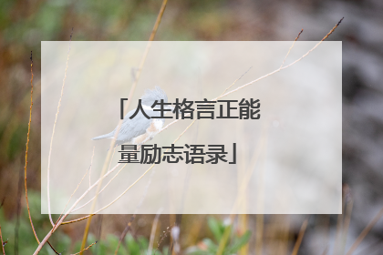 人生格言正能量励志语录