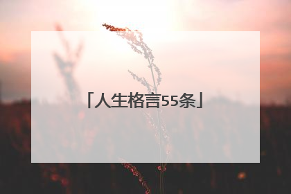 人生格言55条