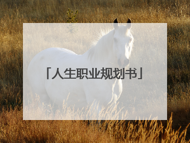 人生职业规划书
