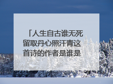 人生自古谁无死留取丹心照汗青这首诗的作者是谁是什么意思