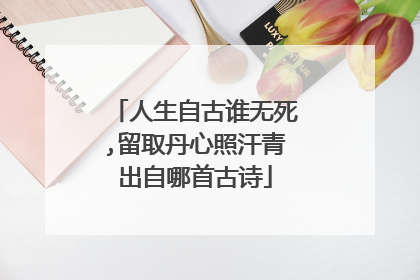 人生自古谁无死,留取丹心照汗青出自哪首古诗