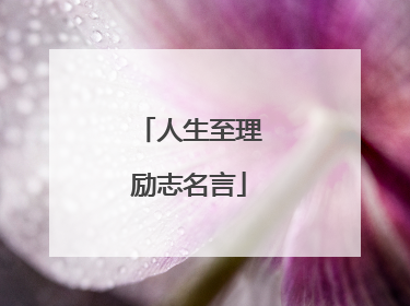人生至理励志名言