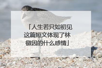 人生若只如初见这篇短文体现了林徽因的什么感情