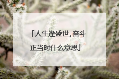 人生逢盛世,奋斗正当时什么意思