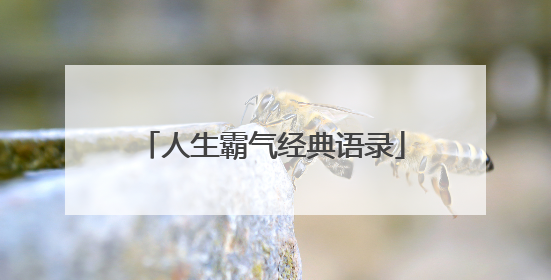 人生霸气经典语录