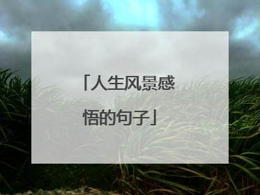 人生风景感悟的句子