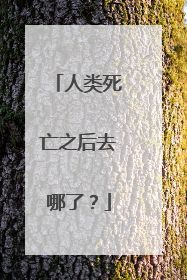 人类死亡之后去哪了?