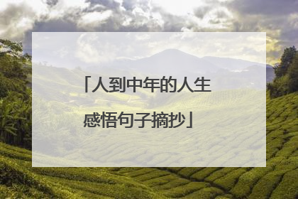 人到中年的人生感悟句子摘抄