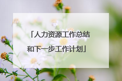 人力资源工作总结和下一步工作计划