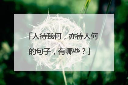 人待我何，亦待人何的句子，有哪些？