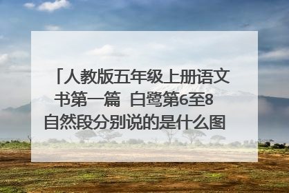 人教版五年级上册语文书第一篇 白鹭第6至8自然段分别说的是什么图和解说词和课后题该怎么写什么意思?