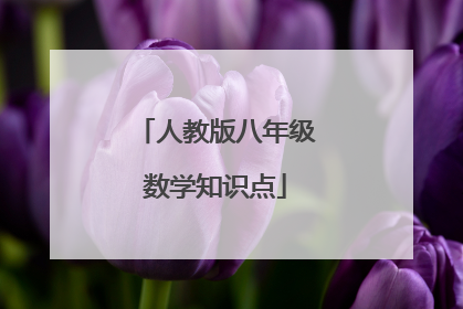 人教版八年级数学知识点
