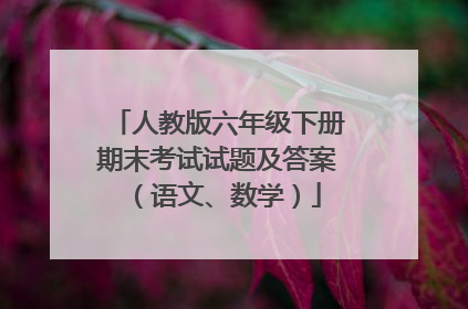 人教版六年级下册期末考试试题及答案（语文、数学）