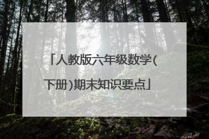 人教版六年级数学(下册)期末知识要点