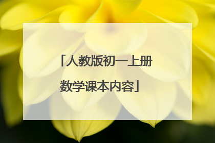 人教版初一上册数学课本内容