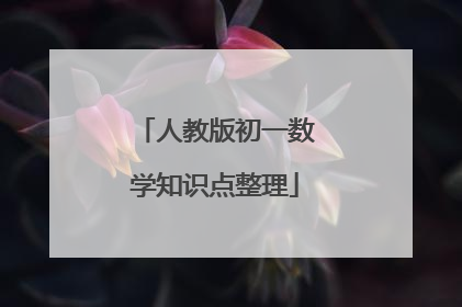 人教版初一数学知识点整理