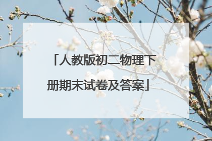 人教版初二物理下册期末试卷及答案