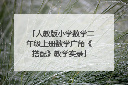人教版小学数学二年级上册数学广角《搭配》教学实录