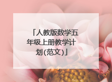 人教版数学五年级上册教学计划(范文)