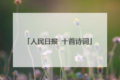 人民日报 十首诗词