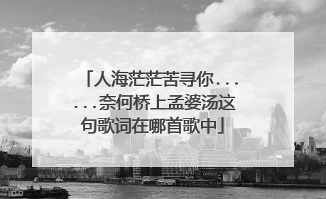 人海茫茫苦寻你......奈何桥上孟婆汤这句歌词在哪首歌中