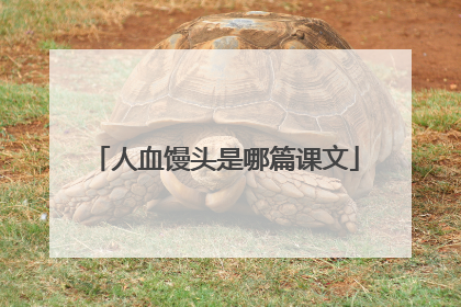 人血馒头是哪篇课文