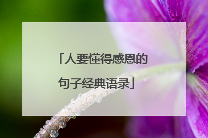 人要懂得感恩的句子经典语录