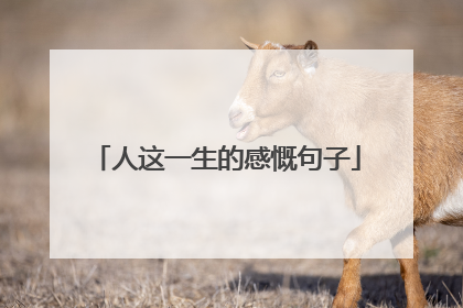人这一生的感慨句子